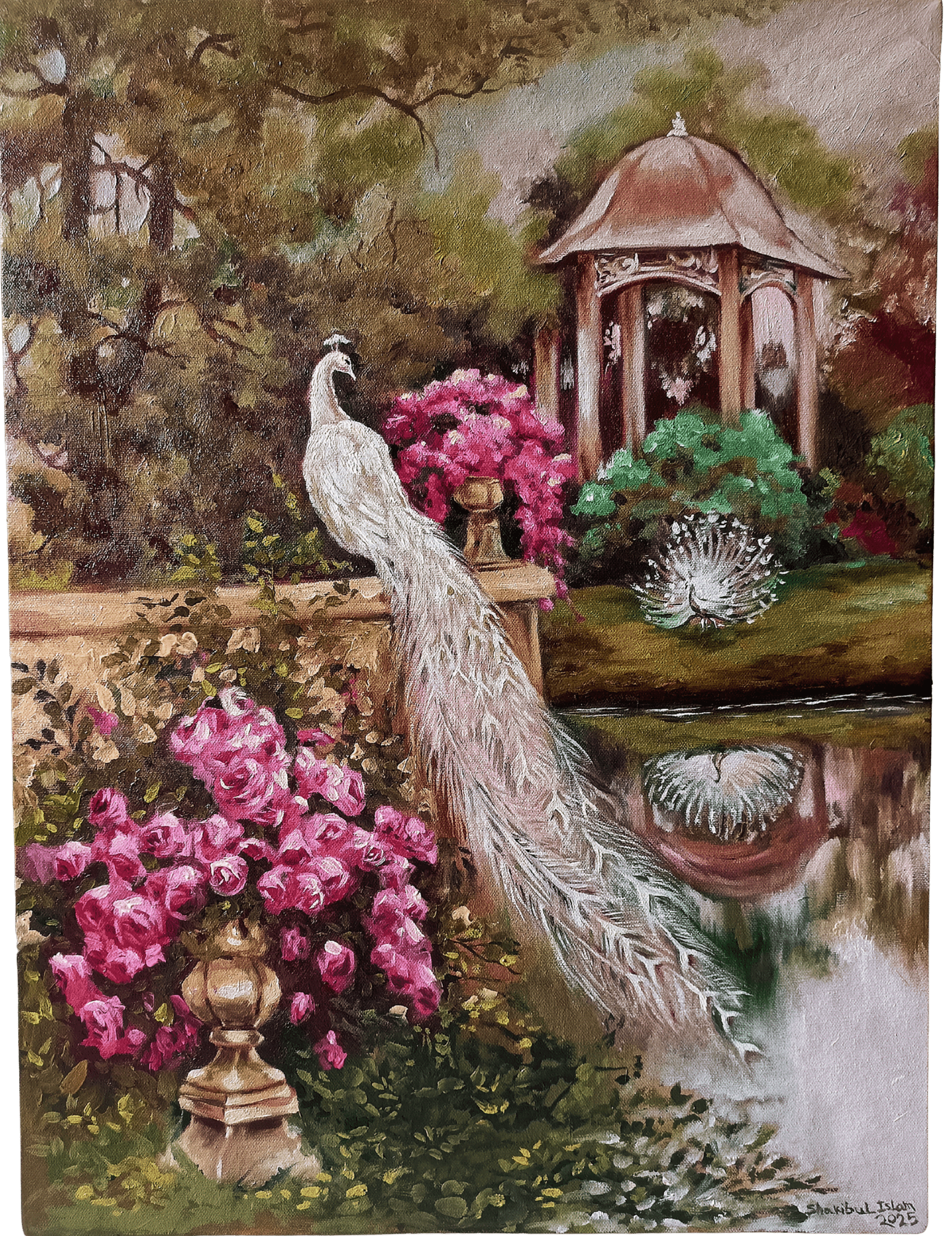Peacock in the garden