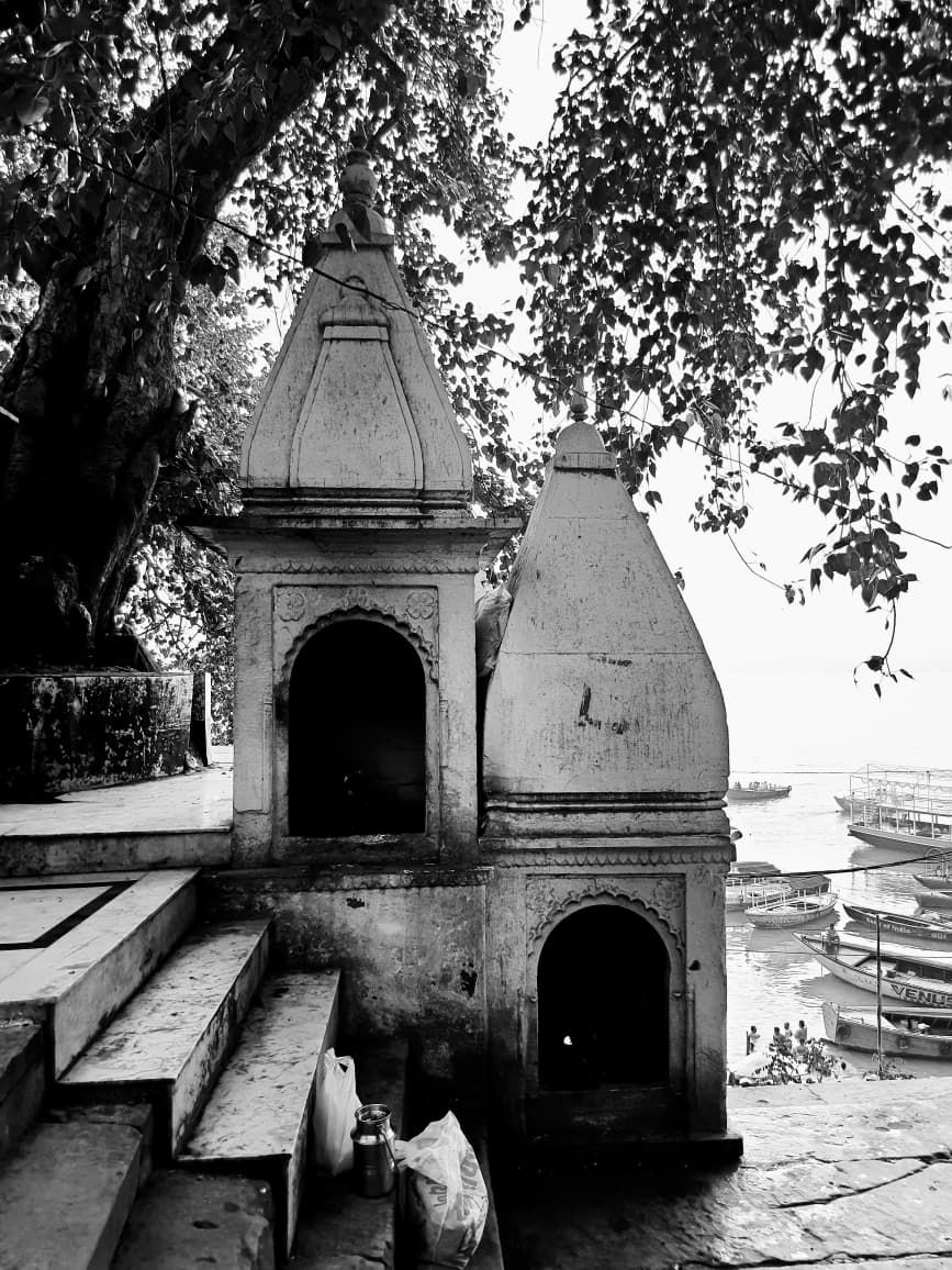 Kashi