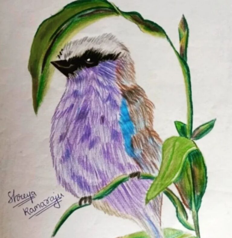 Bird by K. Shreya