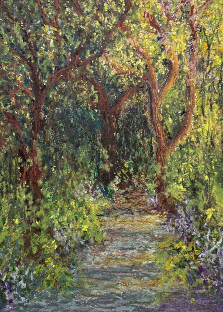 Path by Akash Goenka