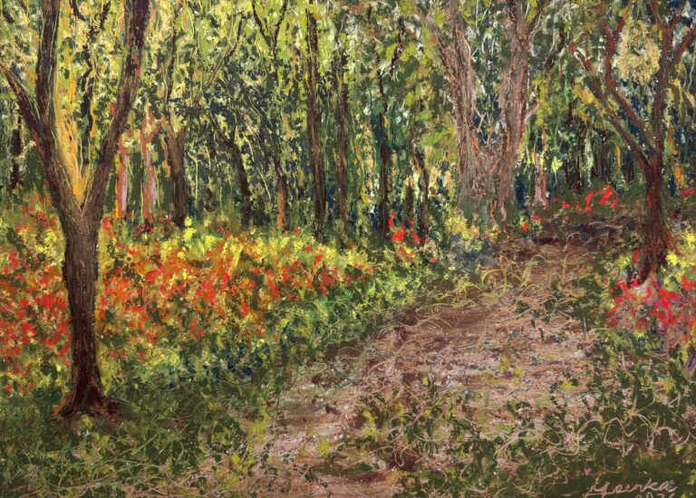 Forest Path by Akash Goenka