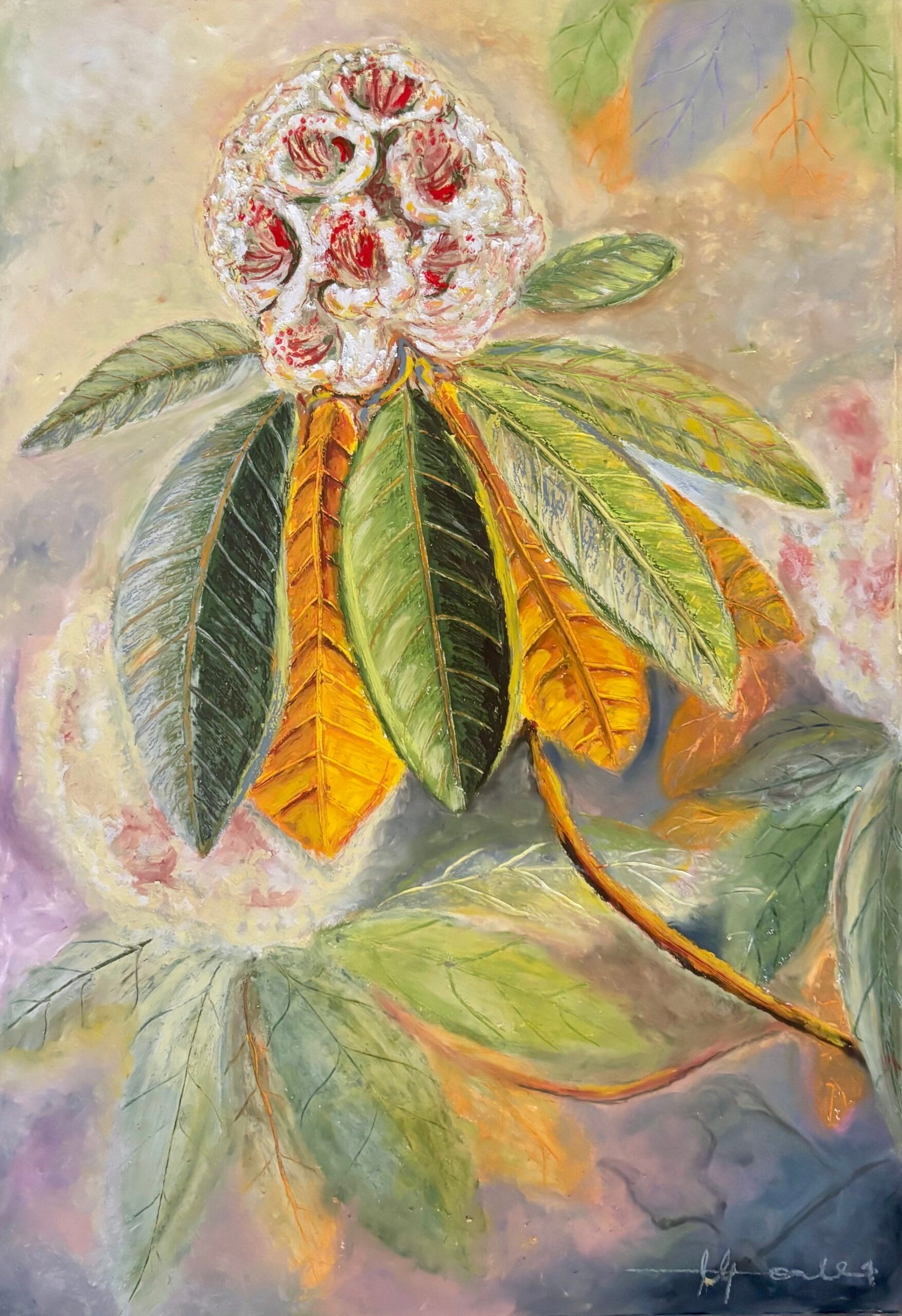 Rhododendron