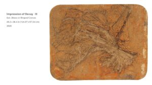 Impression of Decay   III