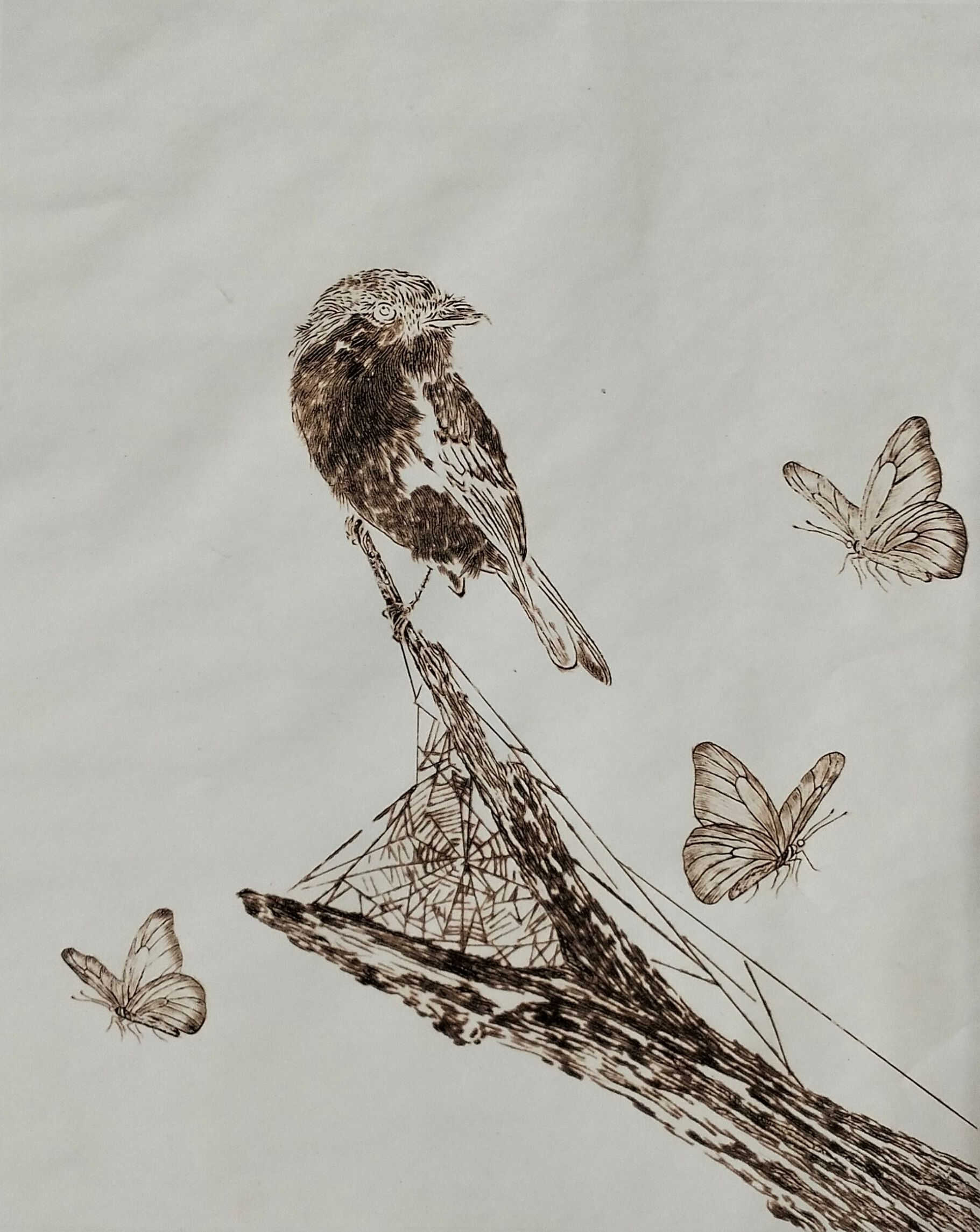 “A Sparrow”