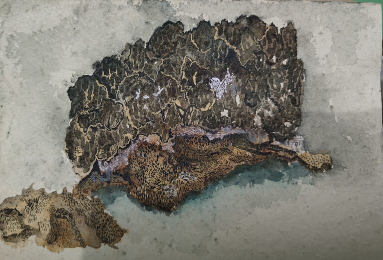 Part of previous series by Meghna Naiker