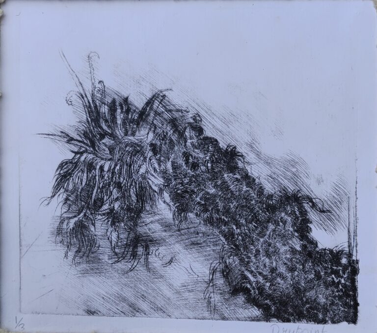 Cycad by Meghna Naiker